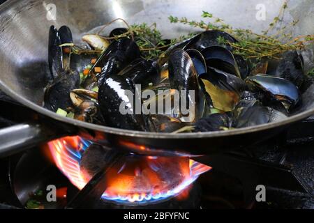 moules cuites à la vapeur dans une casserole au feu Banque D'Images
