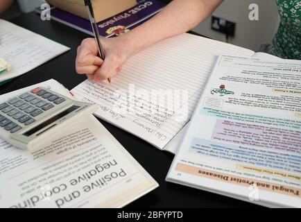 Lulu Byrne âgé de 13 ans et Maisy Byrne de 15 ans participent à la scolarité à domicile, étudiant la mathmatique, l'anglais et les sciences de leur maison à Liverpool alors que les écoles rouvrent après la pause de Pâques, Mais la fréquentation en classe est limitée aux enfants des principaux travailleurs tandis que le Royaume-Uni continue de se maintenir en place au fur et à mesure que la lutte contre le coronavirus se poursuit. Photo PA. Date de l'image: Lundi 20 avril 2020. Le secrétaire à l'éducation Gavin Williamson a déclaré dimanche qu'aucune date n'était prévue pour la réouverture des écoles en Angleterre. Voir l'histoire de l'AP SANTÉ Coronavirus Education. Crédit photo devrait lire: Peter Byrne/PA Wire Banque D'Images