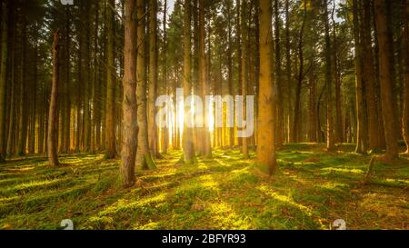 Comté de Blessington Lakes Wicklow Irlande Banque D'Images