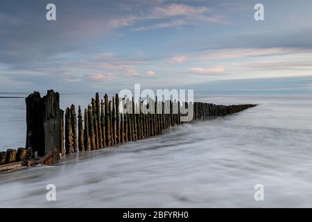 Sur le littoral de Rosslare Strand Wexford Irlande Banque D'Images