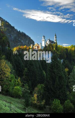 Le château de Neuschwanstein à Schwangau près de Füssen, souabe, Bavière, Allemagne, Europe Banque D'Images