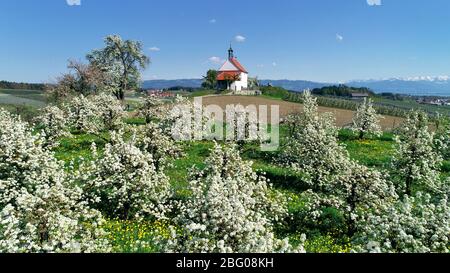 Antoniuskapelle dans Selmnau au lac de Constance, Bavaria, Germany, Europe Banque D'Images