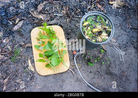 faire cuire du thé au feu, du thé au citron et à la menthe Banque D'Images