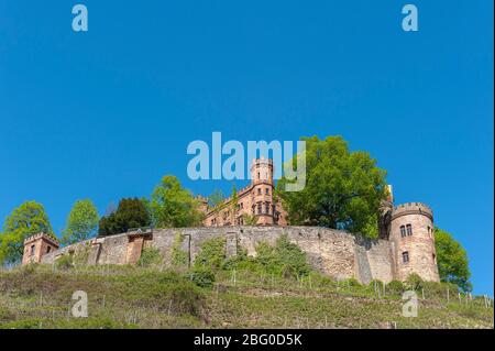 Château d'Ortenberg, Ortenberg, Forêt Noire, Bade-Wurtemberg, Allemagne, Europe Banque D'Images