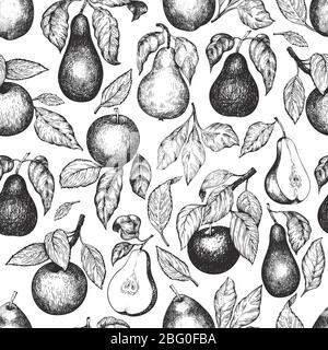 Poires et pommes sans couture. Illustration de fruits de jardin vectoriels dessinés à la main. Motif fruits gravé. Arrière-plan botanique rétro. Banque D'Images