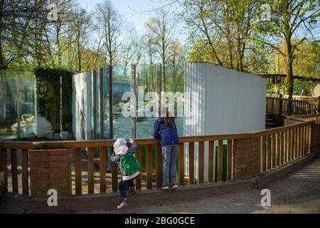 20 avril 2020, Schleswig-Holstein, Neumünster: Deux enfants se tiennent devant l'enceinte de l'ours polaire peu après la réouverture du zoo de Neumünster. Le zoo a été temporairement fermé pour les visiteurs en raison de la pandémie de Corona. Photo : Gregor Fischer/dpa Banque D'Images