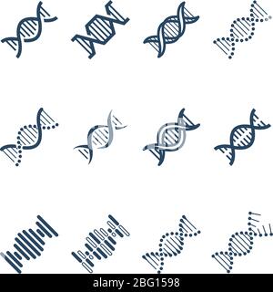 Icônes vectorielles de structure de molécule en spirale d'ADN. Recherche génétique et symboles d'ingénierie chromosomique. Illustration de l'adn chromosomique de structure et de la molécule génétique Illustration de Vecteur