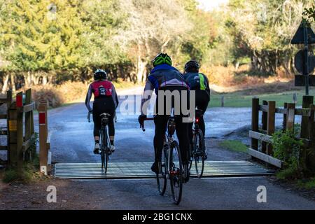 Un groupe de cyclistes qui font du vélo sur les routes de campagne du New Forest Hampshire Banque D'Images