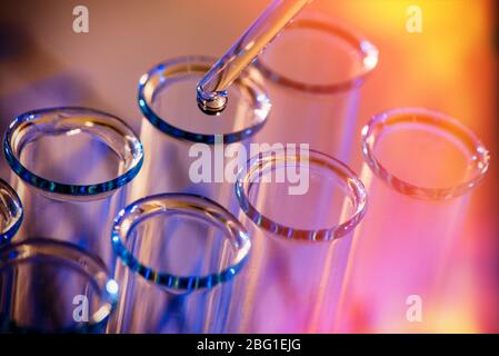 Rangée de tubes à essai. Concept de laboratoire médical ou scientifique, goutte de goutte liquide avec pipette dans fond bleu de ton rouge, gros plan, macro photographie pic Banque D'Images