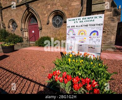 North Berwick, East Lothian, Écosse, Royaume-Uni. 20 avril 2020. Covid-19 Lockdown: La ville balnéaire normalement occupée est exceptionnellement calme. La ville dispose d'un grand nombre de cafés et de boutiques qui sont tous fermés pendant la pandémie de Coronavirus. North Berwick à Bloom exposition de fleurs au soleil avec des dessins arc-en-ciel à Abbey Church Banque D'Images