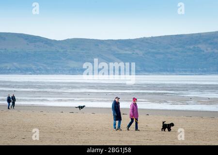 Deux couples observant des distances sociales marchent leurs chiens sur la plage de Weston-super-Mare pendant le verrouillage de Coronavirus, Royaume-Uni Banque D'Images