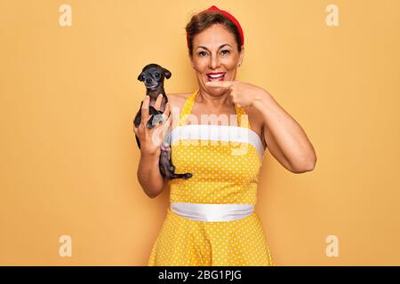 Femme âgée d'âge moyen avec robe rétro de style 50 ans tenant le chien chihuahua très heureux pointant avec la main et le doigt Banque D'Images