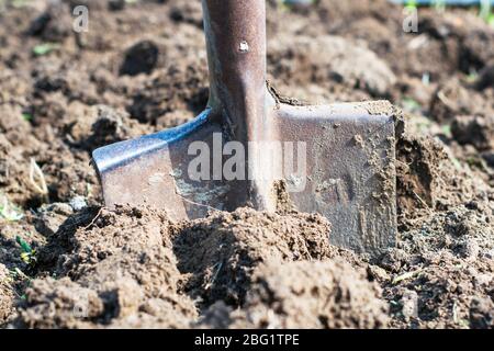 pelle en fer coincée dans la masse de creusée vers le haut Banque D'Images