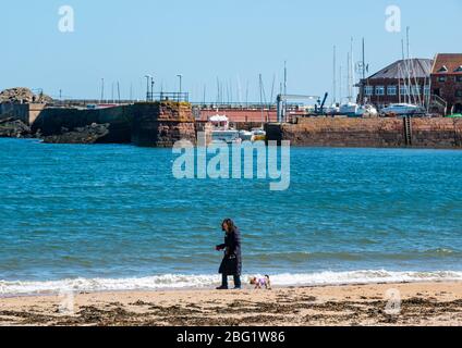 North Berwick, East Lothian, Écosse, Royaume-Uni. 20 avril 2020. Météo britannique : le soleil et un ciel bleu totalement clair dans la ville balnéaire, mais les belles plages sont presque désertes avec les quelques personnes qui font de l'exercice de maintenir une distance sociale appropriée. Une femme marchant avec un chien sur la plage Banque D'Images