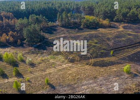 Fumée sur la forêt, vue aérienne de feu sauvage. Terre brûlée et troncs d'arbres après un feu de printemps dans la forêt. Champ noir brûlé. Incident extraordinaire. Con Banque D'Images