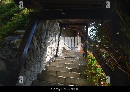Un escalier historique en pierre couvert encadré de poutres en bois sombre et de plantes vertes luxuriantes à l'intérieur de la cour médiévale de la forteresse de Câlnic, en Roumanie. Banque D'Images
