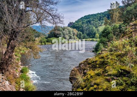 Mures River Valley dans les Carpates orientales, près du village de Galaoaia, Mures County, Transylvanie, Roumanie Banque D'Images