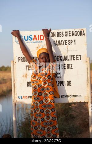 Portrait d'un villageois local près d'un projet d'irrigation de l'aide américaine près du fleuve Sénégal, Sénégal. Banque D'Images