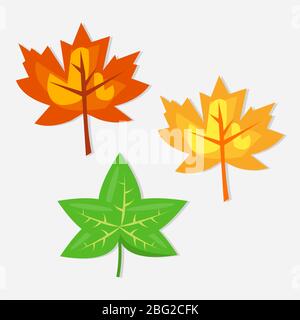 Plante feuilles pour l'automne isolés concept vector illustration Illustration de Vecteur
