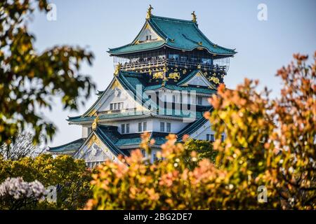 Le château japonais le plus beau est à Osaka, le toit bleu et les environs magnifiques au Japon Banque D'Images