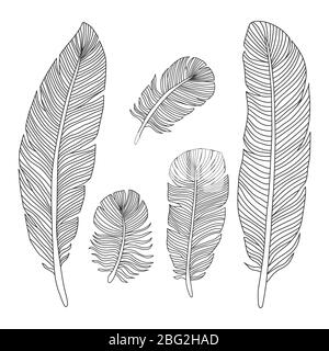 Les plumes dessinées à la main présentent des silhouettes isolées sur fond blanc. Illustration vectorielle Illustration de Vecteur