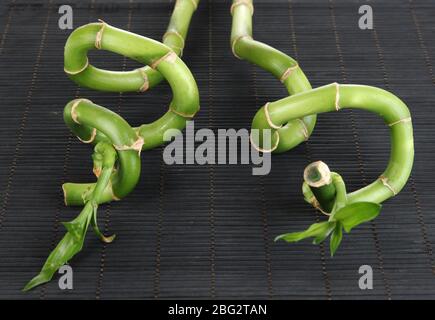 Belles branches de bambou sur table en bois Banque D'Images