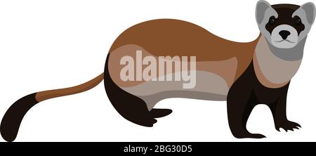 Animal de weasel, illustration, vecteur sur fond blanc Illustration de Vecteur