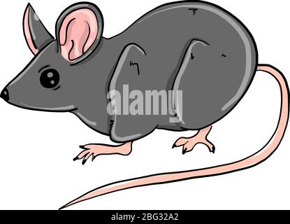 Petite souris, illustration, vecteur sur fond blanc Illustration de Vecteur