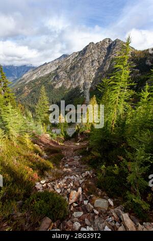 Un étroit lit de cours d'eau sec mène à une montagne au-delà des arbres de mélèze alpin, donnant lieu à un flanc de montagne ensoleillé sous un ciel lumineux avec des nuages de cirrus Banque D'Images