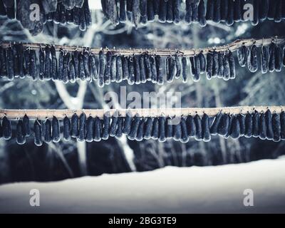 Saucisses accrochées sur un rack dans la neige, Bulgarie Banque D'Images