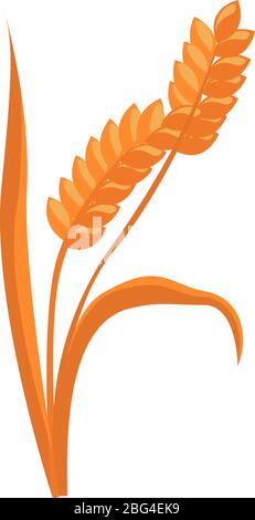 Oreilles de blé, illustration, vecteur sur fond blanc Illustration de Vecteur