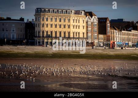 Oiseaux et bâtiment sur le front de mer de Margate Banque D'Images