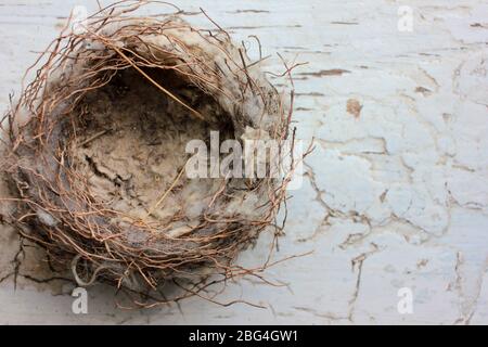 Nid réel sans œufs sur fond blanc vieux fissuré en bois. Concept de syndrome de Nest vide. Vue de dessus Banque D'Images