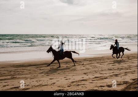 Deux jockeys courses de chevaux andalous rétroéclairé sur la plage Banque D'Images