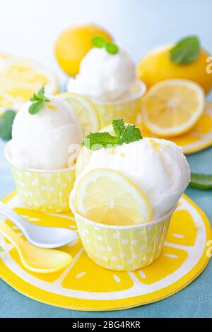 Sorbet glacé au citron avec feuilles de menthe fraîche Banque D'Images