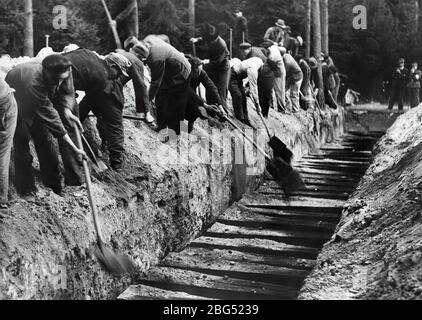 Documentaire de la seconde Guerre mondiale. Les libérateurs britanniques du camp de concentration de Bergen-Belsen obligent les responsables nazis à exhumer et à enterrer correctement les corps d'environ 100 prisonniers politiques qui y ont été tués, en octobre 1945 Banque D'Images