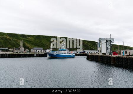 Dartmouth a enregistré un bateau de pêche au crabe Edward Henry DH100 dans le port de Scrabster à Caithness pour atterrir ses prises avant de retourner en mer. Banque D'Images