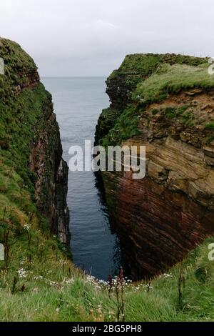 Piroé près de Duncansby Head, Caithness, Highland, Scotland, Royaume-Uni. Banque D'Images