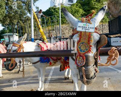 MIJAS, ESPAGNE - 6 SEPTEMBRE 2016 - des taxis Donkey attendent dans le village de Mijas, Costa Del sol Banque D'Images