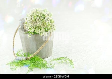 Botte Achillea millefolium avec fleur blanche. Ensemble de yarrow. Yarrow on dans un seau en bois. Banque D'Images