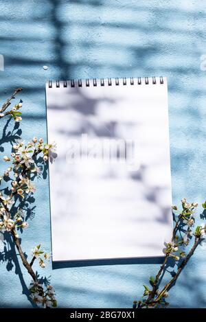 Bloc-notes vide avec ombre d'un arbre fleuri Banque D'Images