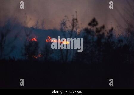 Kilpatrick Hills, Duntochter, Glasgow, Royaume-Uni. 20 avril 2020. Photo: D'énormes panaches de fumée sombre s'enorffent d'un feu de forêt massif avec des flammes massives sur les collines de Kilpatrick à Glasgow. Crédit : Colin Fisher/Alay Live News Banque D'Images