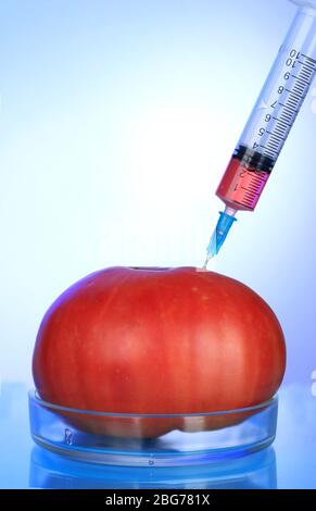 Injection dans la tomate rouge fraîche sur fond bleu Banque D'Images