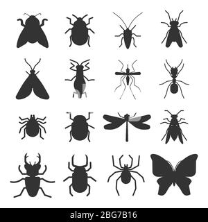 Icônes de silhouette d'insectes populaires isolées sur fond blanc. Illustration vectorielle Illustration de Vecteur