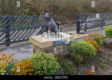 Station Garsdale sur la ligne Settle - Carlisle, statue de Russwarp, une frontière collie qui a déposé une objection à la fermeture de la ligne. Banque D'Images