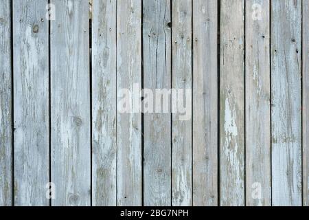 Vieux fond gris de planches en bois. La texture des liteaux en bois étroits. Clôture des vieux panneaux sur lesquels la peinture a été dépelée. Banque D'Images