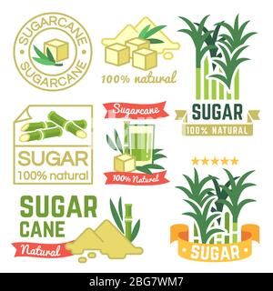 Étiquettes de production de sucre, badges de ferme de canne à sucre et ensembles vectoriels. Illustration du sucre de canne, de la plante de récolte douce Illustration de Vecteur