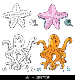 Motif page couleur Ocean Life. Starfish et Octopus isolés sur fond blanc. Illustration vectorielle Illustration de Vecteur