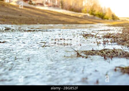 l'année dernière, l'herbe sèche gelée dans la glace couvrant un ruisseau, foyer sélectif sur le milieu Banque D'Images