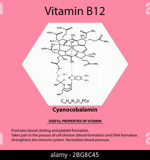 Vitamine B12. cyanocobalamine formule chimique moléculaire. Propriétés utiles de la vitamine. Infographies. Illustration vectorielle sur un arrière-plan isolé. Illustration de Vecteur